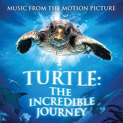 Turtle: The Incredible Journey