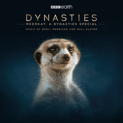 Meerkat: A Dynasties Special
