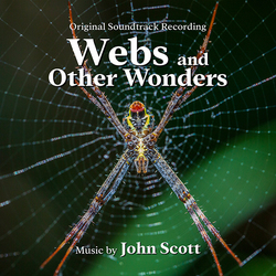 Webs and Other Wonders