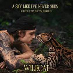 Wildcat: A Sky Like I've Never Seen (Single)