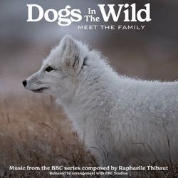 Dogs in the Wild: Meet the Family