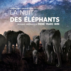 La nuit des elephants