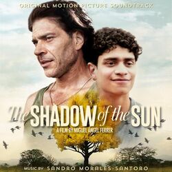 The Shadow of the Sun