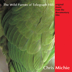 The Wild Parrots Of Telegraph Hill