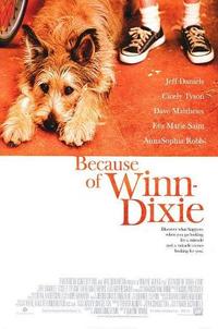 Because of Winn-Dixie