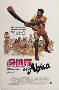 Shaft in Africa