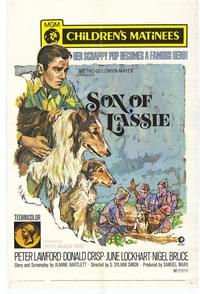 Son of Lassie