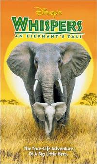 Whispers: An Elephant's Tale