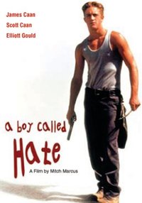 A Boy Called Hate