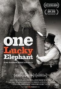 One Lucky Elephant