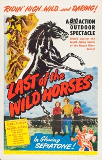 Last of the Wild Horses