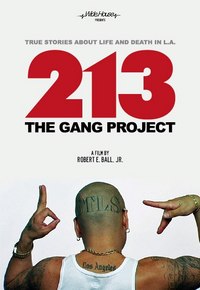 213 The Gang Project