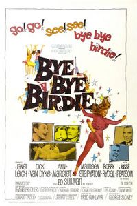 Bye Bye Birdie