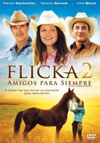 Flicka 2