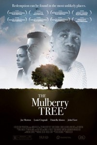 The Mulberry Tree