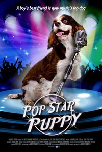 Pop Star Puppy