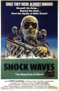 Shock Waves