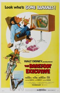 The Barefoot Executive