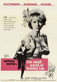 The Small World of Sammy Lee