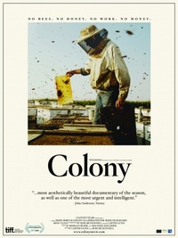 Colony