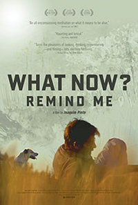 What Now? Remind Me (E Agora? Lembra-me)