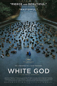 White God