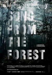 Song from the Forest