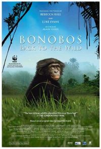 Bonobos: Back to the Wild