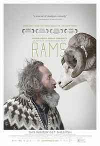 Rams (Hrutar)