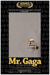 Mr. Gaga