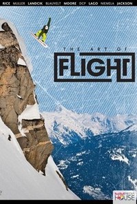 The Art of Flight 3D