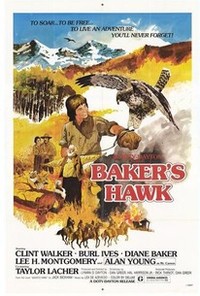 Baker's Hawk