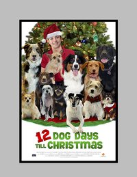 12 Dog Days Till Christmas