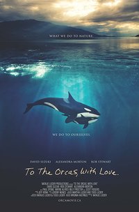 To the Orcas with Love