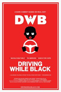 Driving While Black