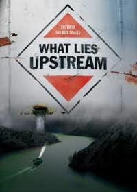 What Lies Upstream