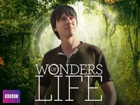 Wonders of Life