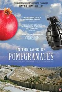 In the Land of Pomegranates