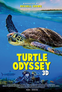 Turtle Odyssey