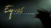 Equus: Story of the Horse