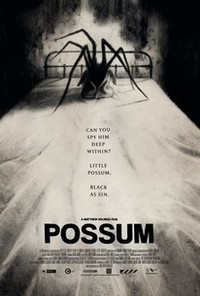 Possum