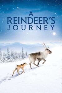 A Reindeer's Journey (Ailo: Une odyssee en Laponie)