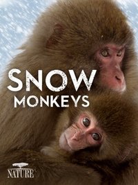 Snow Monkeys