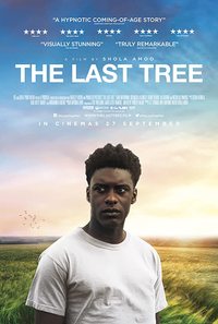 The Last Tree