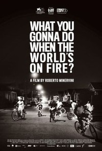 What You Gonna Do When the World's on Fire?