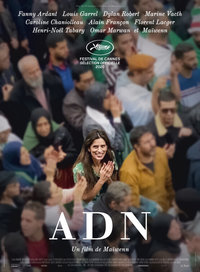 DNA (ADN)