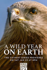 A Wild Year on Earth