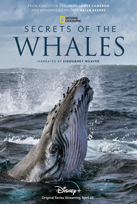 Secrets of the Whales