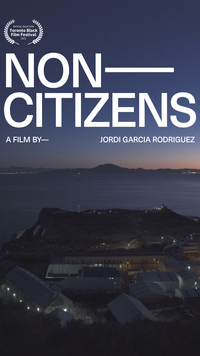 Non-Citizens