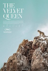 The Velvet Queen (La Panthere des neiges)
